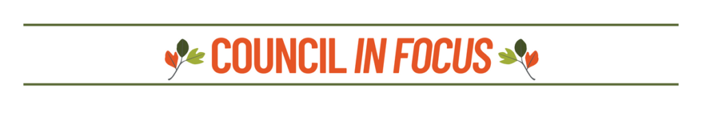 Council in Focus
